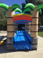 Water Slides & Water Combos Tropical Slip N Slide